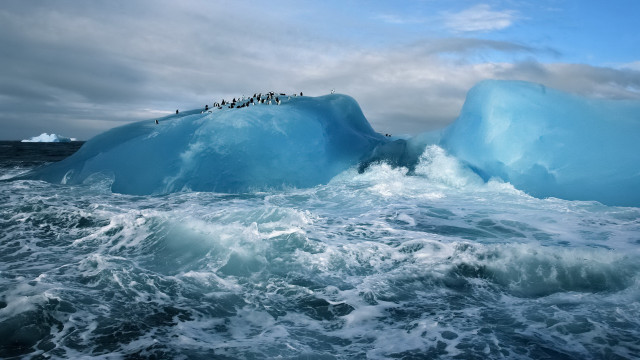 Penguins iceberg ocean boat ecological free wallpaper - medium preview image