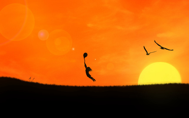 Kite flying sunset bird matte free wallpaper - medium preview image