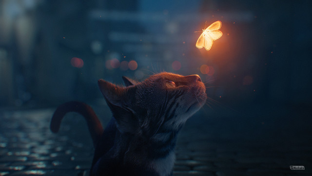 Cat butterfly night street glow free wallpaper - medium preview image