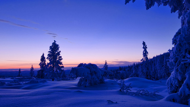 Snowy landscape trees sunset blue free wallpaper - medium preview image