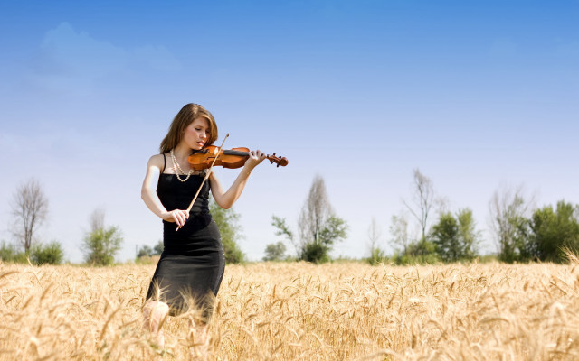 Woman violin field trees sky free wallpaper - medium preview image