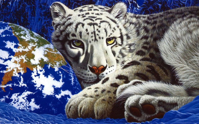 White tiger blue blanket ecological free wallpaper - medium preview image