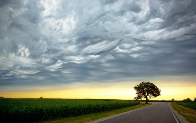 Road tree cloudy sunset horizon free wallpaper - medium preview image