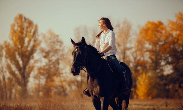Woman horse field autumn fire free wallpaper - medium preview image