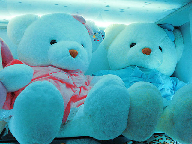 Teddy bears shelf store window free wallpaper - medium preview image