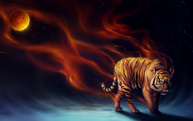 Tiger night sky fullmoon fireball free wallpaper - medium preview image