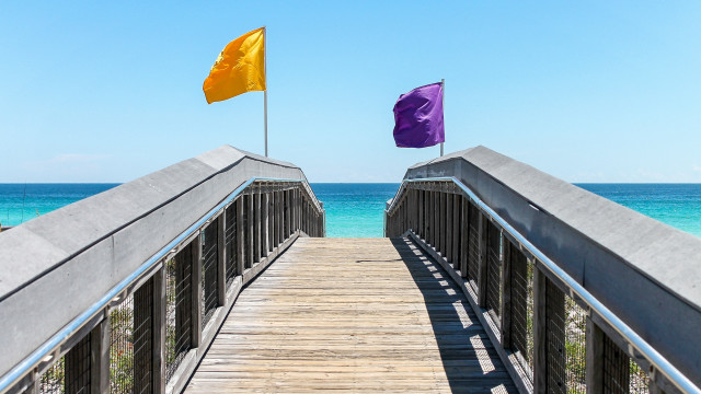 Wooden bridge flags ocean beach free wallpaper - medium preview image