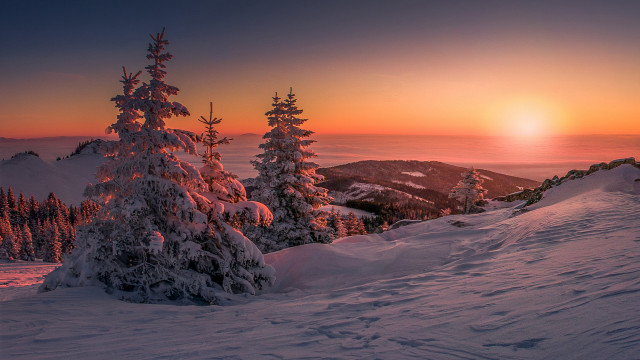 Sunset snowy mountain trees orange #2 free wallpaper - medium preview image