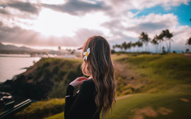 Woman hill ocean palm sunbeam #2 free wallpaper - medium preview image