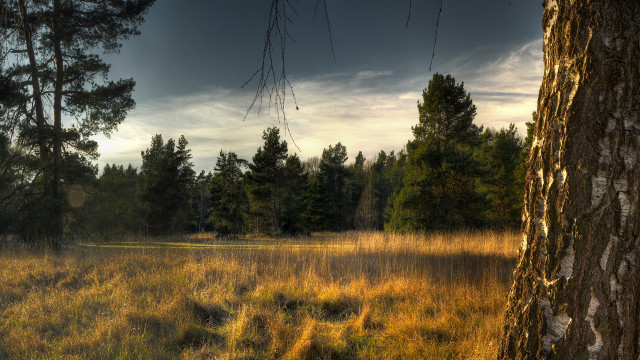 Autumn mountain lake sunset forest free wallpaper - medium preview image