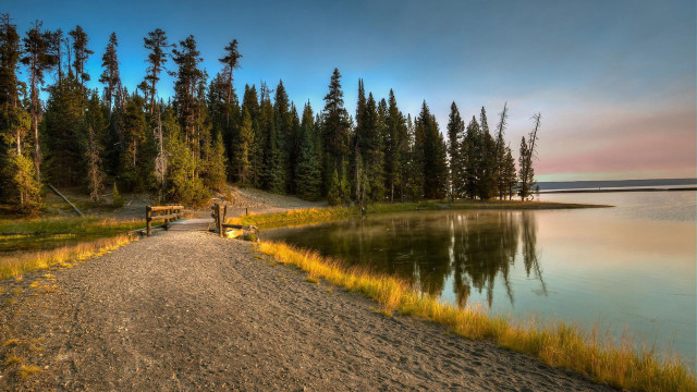 Lake path bench trees cityscape free wallpaper - medium preview image
