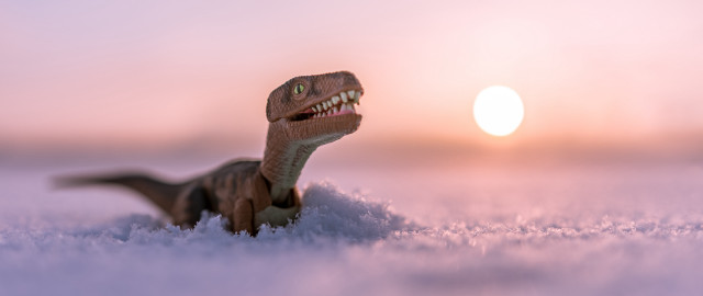 Toy dinosaur snow sunset mountain free wallpaper - medium preview image