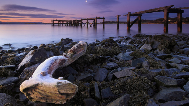 Rocky beach log sunset pier free wallpaper - medium preview image