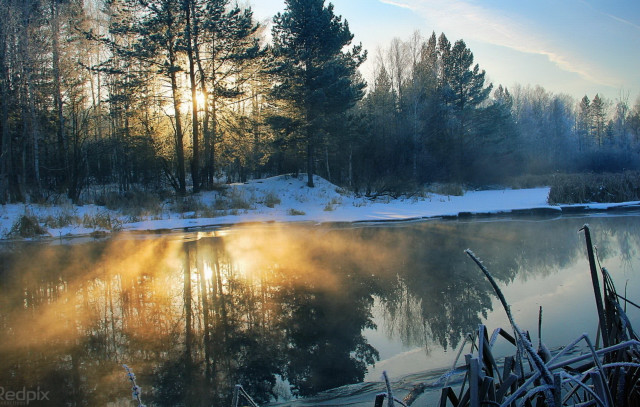 Lake snowy trees forest sunset free wallpaper - medium preview image