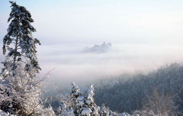 Castle foggy sky trees lake free wallpaper - medium preview image