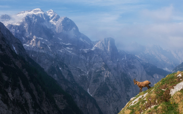 Goat mountain range clouds sky free wallpaper - medium preview image
