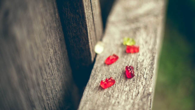 Wooden bench gummy bears green free wallpaper - medium preview image