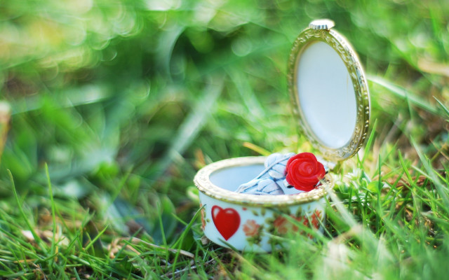 Small box red rose mirror free wallpaper - medium preview image