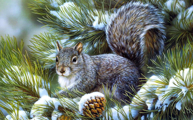 Squirrel pine snow branches pinecones free wallpaper - medium preview image
