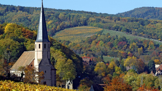 Church steeple autumn village trees free wallpaper - medium preview image