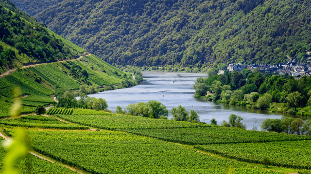 River valley hillside impressionist landscape free wallpaper - medium preview image