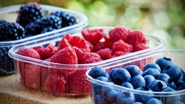 Berries blueberries plastic containers closeup free wallpaper - medium preview image