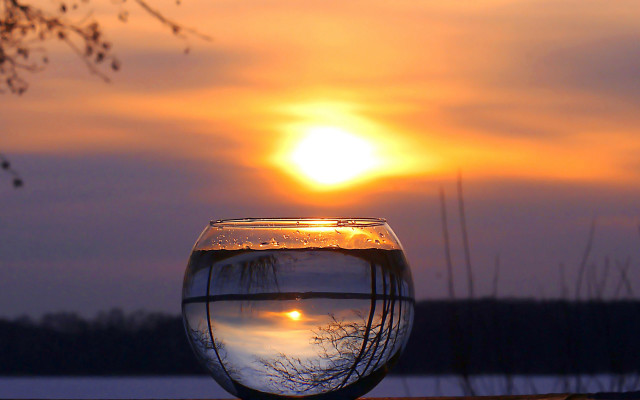 Fish bowl sunset tree lake free wallpaper - medium preview image