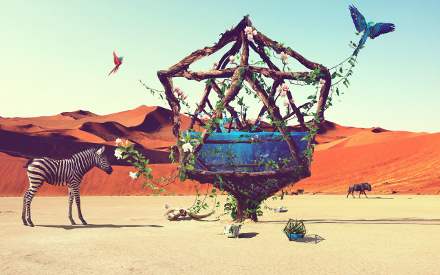 Zebra desert sculpture bird cage free wallpaper - medium preview image