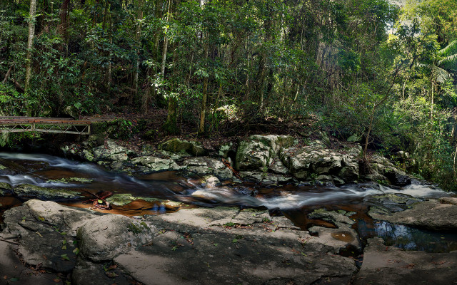 Lush green forest stream bridge #2 free wallpaper - medium preview image