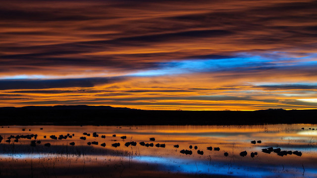 Sunset birds water mountain clouds free wallpaper - medium preview image