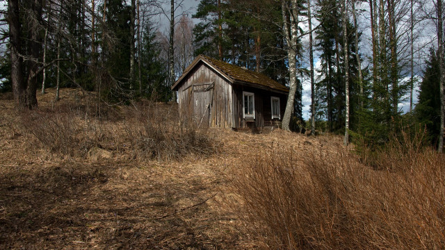 Wooden cabin autumn nature dappled free wallpaper - medium preview image