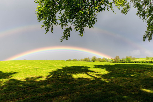 Rainbow green field trees dark free wallpaper - medium preview image