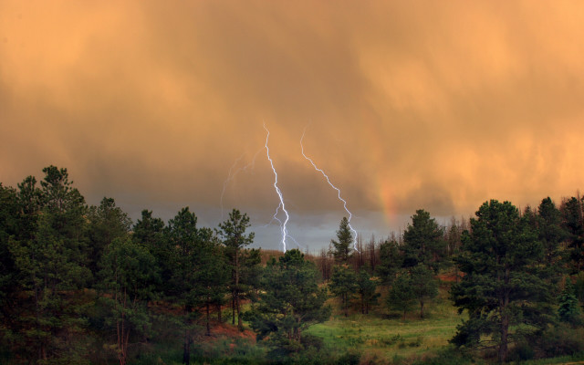 Large cloud lightning forest thunderstorm free wallpaper - medium preview image