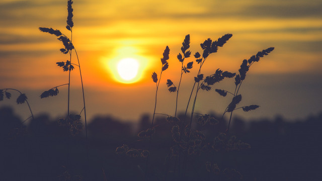 Sunset tallgrass building clouds dusk free wallpaper - medium preview image