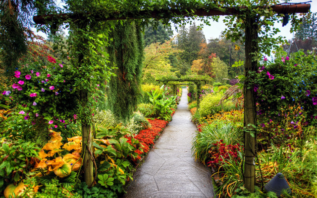 Garden paths flower tunnel autumn free wallpaper - medium preview image