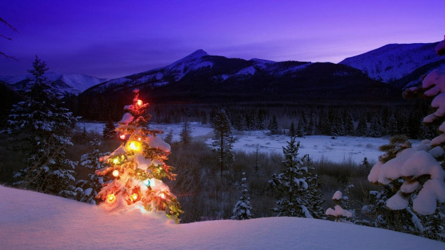 Christmas tree lit snow mountains free wallpaper - medium preview image