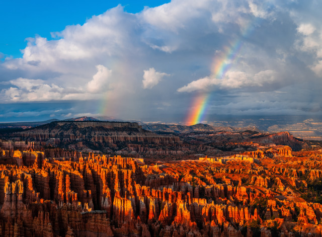 Rainbow canyon rocks trees autumn free wallpaper - medium preview image