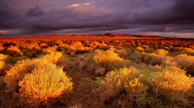 Desert bushes mountain cloudy sky free wallpaper - medium preview image