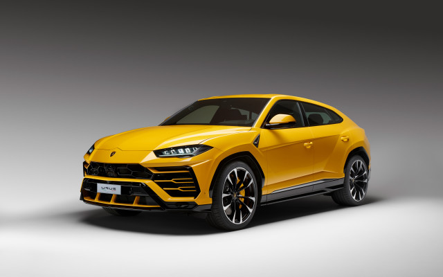 Yellow lamb suv studio gray free wallpaper - medium preview image