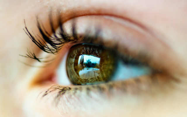 Eye building reflection macro blurry free wallpaper - medium preview image