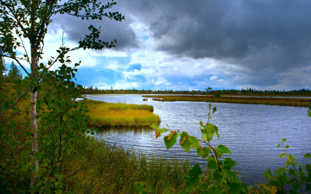 Lake trees grass clouds impasto free wallpaper for desktop - medium preview image