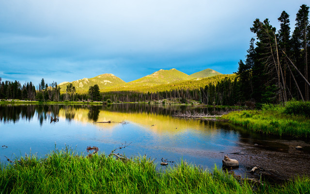Lake mountains trees birds ducks #2 free wallpaper - medium preview image