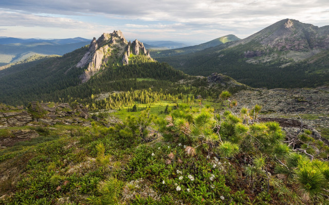 Mountain range trees clouds zenith free wallpaper - medium preview image