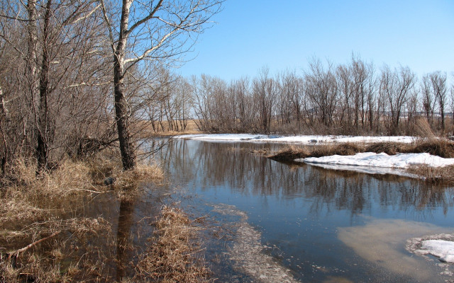 River forest snowy bare trees free wallpaper - medium preview image