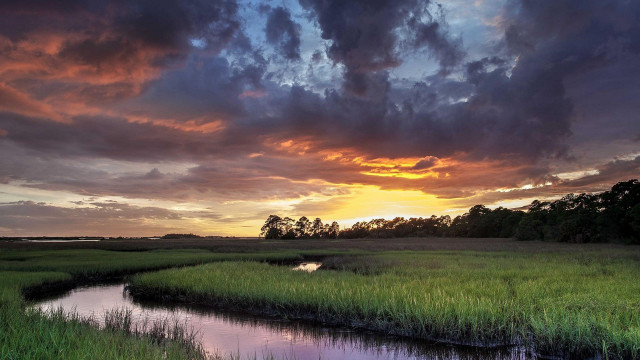 Sunset marsh stream trees cloudy free wallpaper - medium preview image