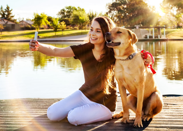 Woman dock dog phone outdoors free wallpaper for desktop - medium preview image