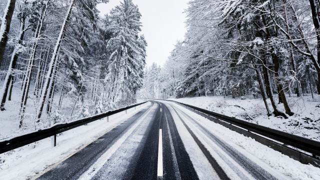 Snowy forest road bench bare free wallpaper - medium preview image