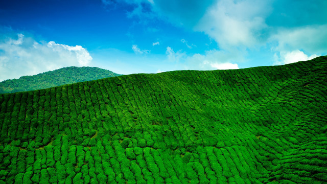Green hill blue sky clouds #5 free wallpaper - medium preview image