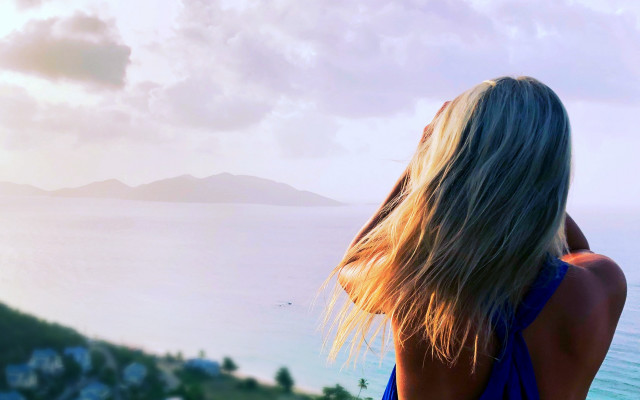 Hilltop ocean mountains bird impressionist free wallpaper - medium preview image