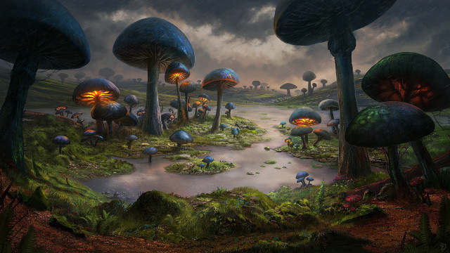 Forest mushrooms pond fantasy matte free wallpaper - medium preview image